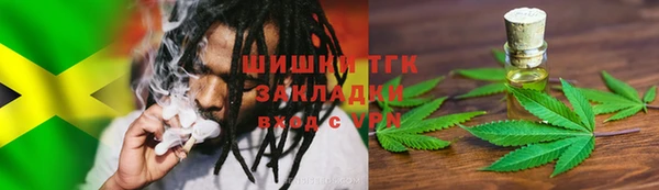 тгк Арсеньев