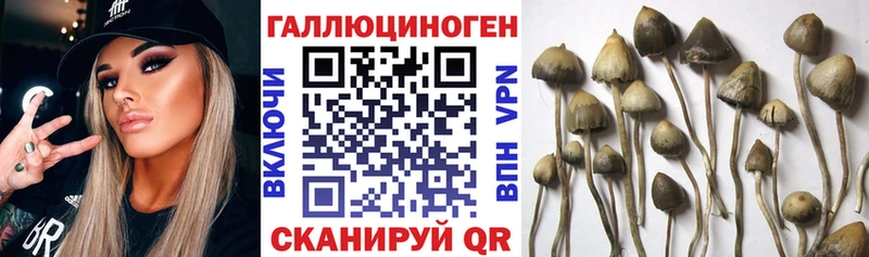 Галлюциногенные грибы Cubensis  Сим 